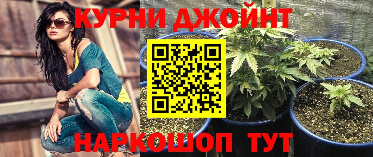 Бошки марихуана Bruce Banner  Марихуана THC 21%  Конопля AK-47  Йошкар-Ола  Шишки марихуана THC 21%  Вход с VPN 